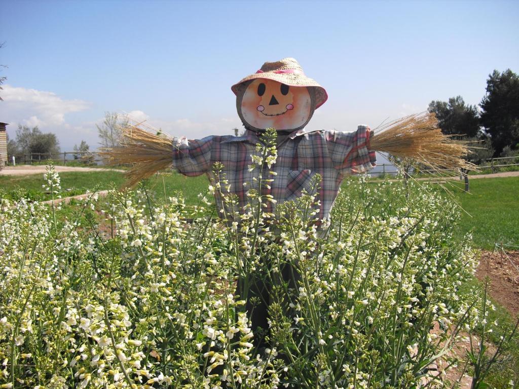 Vilar Rural De Cardona Zewnętrze zdjęcie