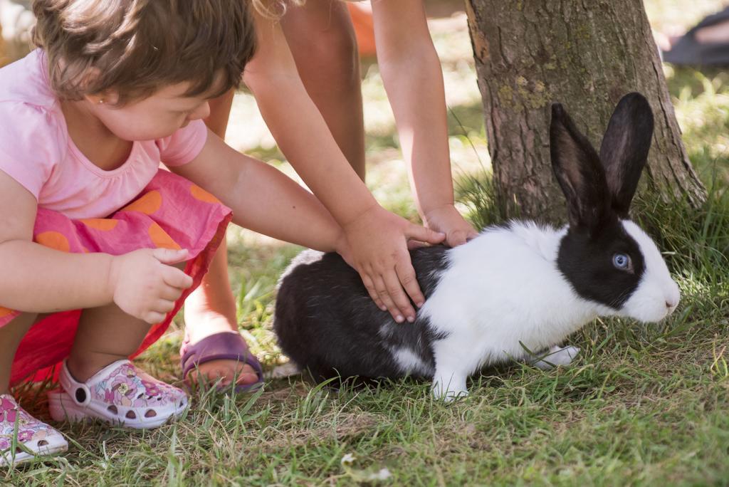 Vilar Rural De Cardona Zewnętrze zdjęcie