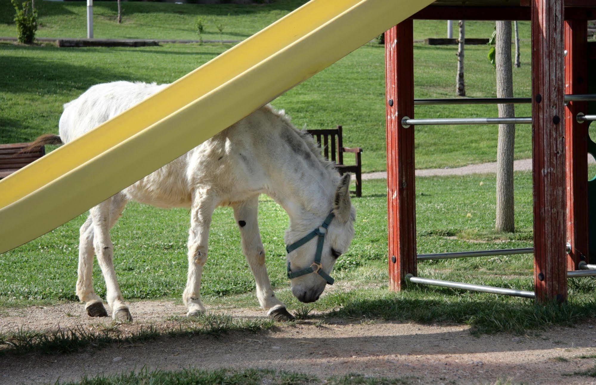 Vilar Rural De Cardona Zewnętrze zdjęcie